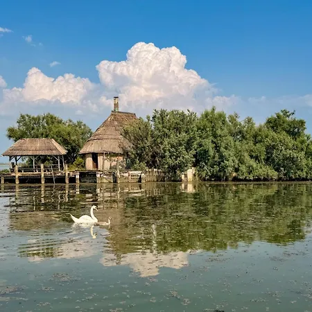 In 31416 * Линьяно-Саббьядоро